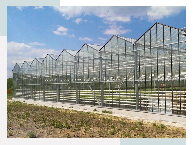 Строительство теплиц в Черногорск от 612 руб. за м²